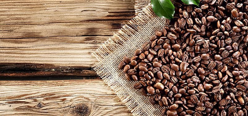 Lush green landscape